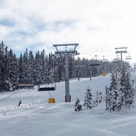 Skjonnhet - Luxury Next To Slopes Chalet