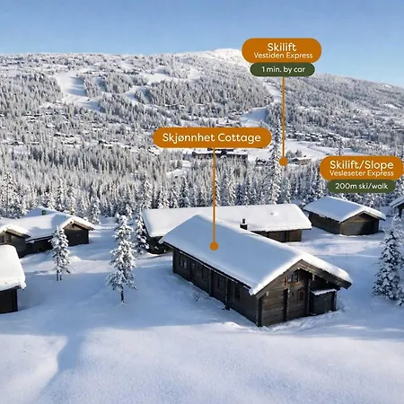 Skjonnhet - Luxury Next To Slopes