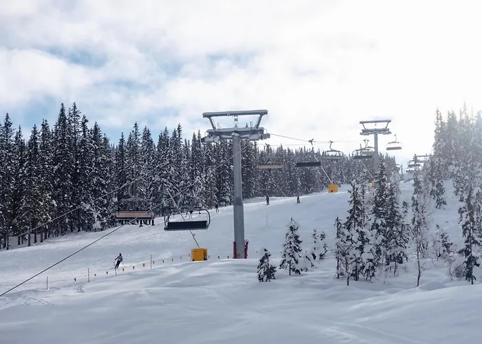 Skjonnhet - Luxury Next To Slopes Chalet
