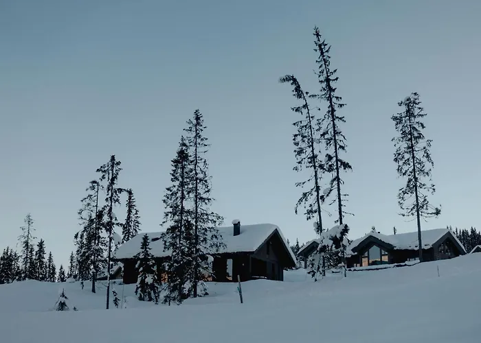 Chalet Skjonnhet - Luxury Next To Slopes *