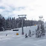 Skjonnhet - Luxury Ski-in&ski-out Chaleter
